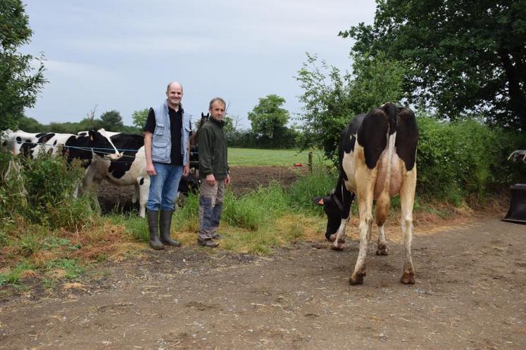 Clément Perrigaud, technicien Évolution (à gauche) avec le naisseur de Newstar, Jean-Marie Fromenteau, en compagnie de Lacapitale, la mère du numéro 1 des index prim’holsteins.