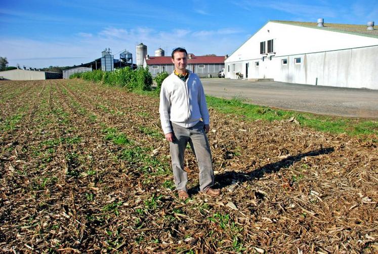 « Le principal enjeu de la filière pour les années à venir est de tenir le niveau de production », estime Sébastien Aimé.