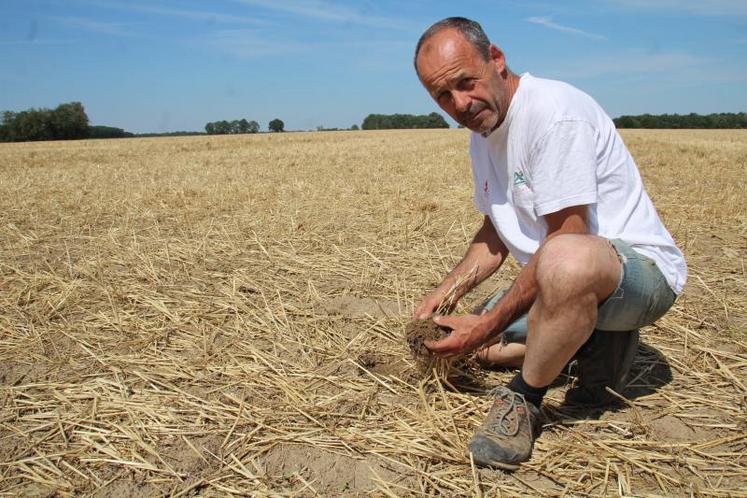 Parmi les participants de ce Mécasol 2019, Éric Sabourin, de l’association Agrosol, qui sera présent avec d’autres collègues pour informer sur la mise en place de couverts végétaux.