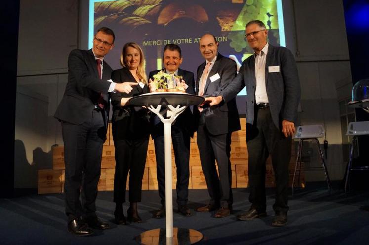 Les premiers plants dévoilés par les partenaires du programme de création variétale.