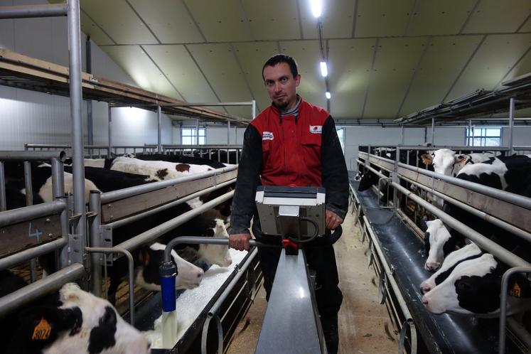 Ludovic Lamothe est installé depuis 2019 en élevage de veaux, à Semussac.