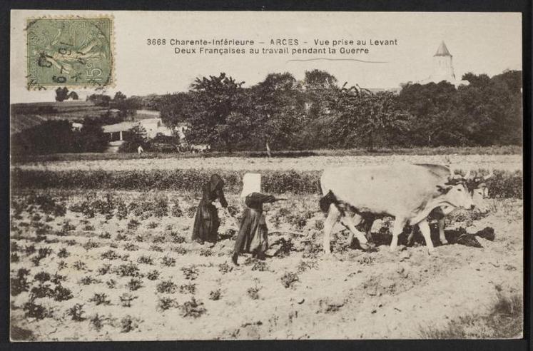 Les femmes étaient impliquées dans les travaux des champs, ici à Arces. Crédit photo : Archives départementales de la Charente-Maritime, 78FI 1GM 01