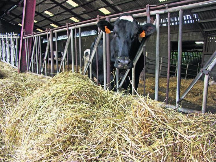 Les producteurs de lait spécialisés sont des deuxièmes bénéficiaires du rééquilibrage des soutiens avec un gain moyen de 7 % sur les aides, soit 1 700 €/exploitation.