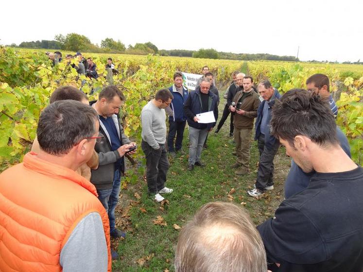 Explications autour de Damien Couvidat (Caussade) et Jean-François Ecalle (Ocealia)