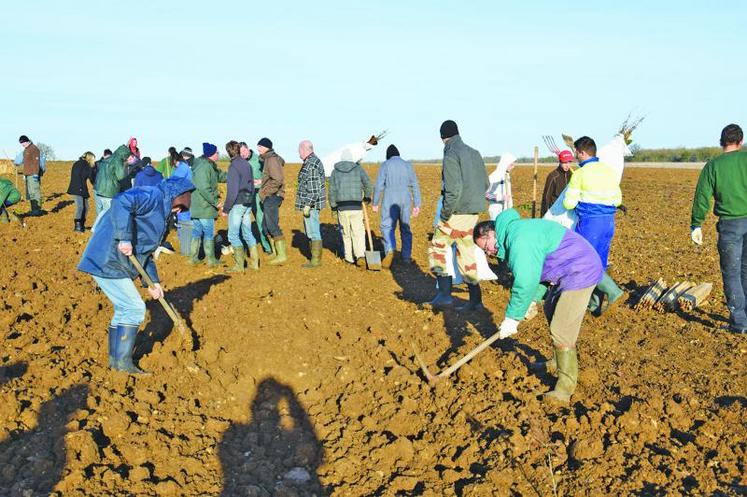 Les bénévoles étaient à pied d'oeuvre mardi matin pour planter une vingtaine d'essences d'arbres le long d'une parcelle agricole.