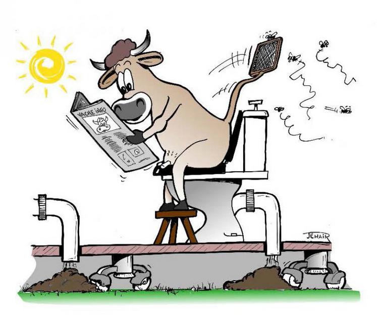 En prenant comme support des dessins humoristiques, la
commission agricultrices tentent de sensibiliser le grand public à leurs pratiques dans la bonne humeur.