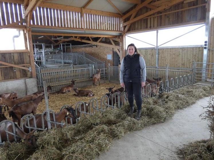 Fanny Gaudin dans sa chèvrerie, avec son troupeau de race Alpine. En arrière-plan, la salle de traite, conçue pour lui faciliter le travail : « Ce sont les chèvres qui montent et pas moi. »