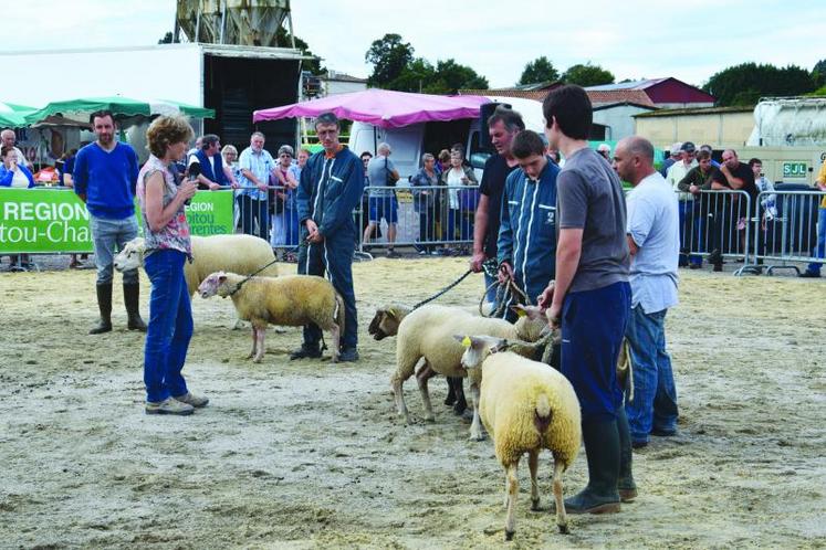 Un troisième concours sur les races rustiques est organisé, cette année.