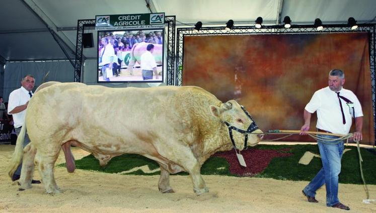 La race charolaise organisera son concours national au Sommet de l’élevage. 500 animaux sont attendus. Le nouveau site du Sommet de l’élevage (www.sommet-elevage.fr) permet de télécharger le plan interactif, de visualiser les emplacements, de faire son programme de visite et d’obtenir la liste des exposants et éleveurs.