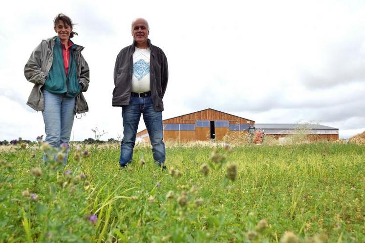 La luzerne produite par Claire Grimaldi et Thierry Faity sera valorisée par les 200 chèvres en production au Gaec La Canepetière à Saint-Sauvant.