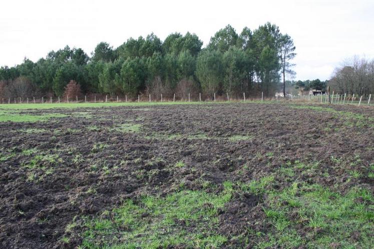 La chasse est actuellement interdite, mais le Préfet a pris plusieurs mesures visant à protéger les exploitations agricoles du Département des sangliers.