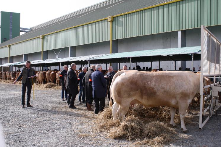 Au programme, dès 8 h, jugement des animaux, puis classification et vente. 