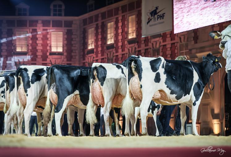 Les 23 sections se sont succédé sur le ring placé dans le Grand Carrousel du Puy du Fou, lors du concours national, sous le regard des quelque 4 000 spectateurs venus pour l'occasion.