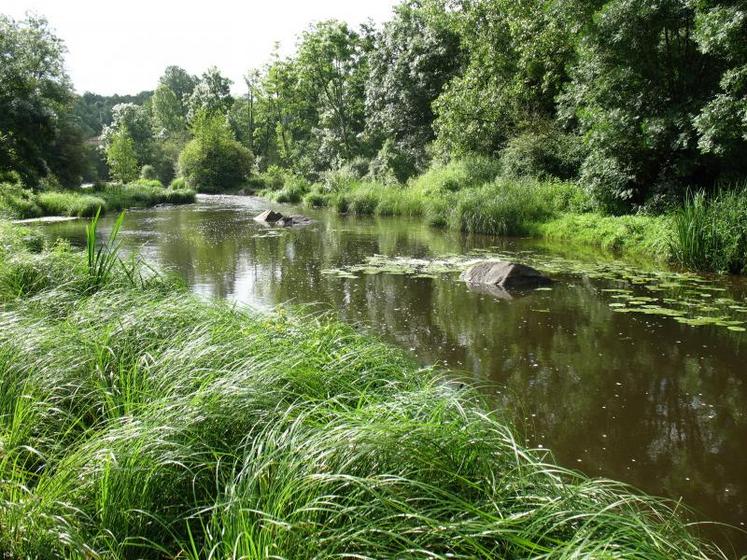 Au lieu-dit le Poiré à Availles-Thouarsais, deux moulins et leurs chaussées respectives ont disparu sur ce secteur de plus d’un kilomètre aujourd’hui en écoulements naturels.