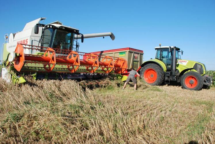 Les moissons, retardées par une météo capricieuse qui a favorisé les maladies, s’annoncent décevantes. «La marchandise sera très difficile à mettre en marché», estime Médéric Brunet, directeur général de la coopérative Sèvre et Belle.