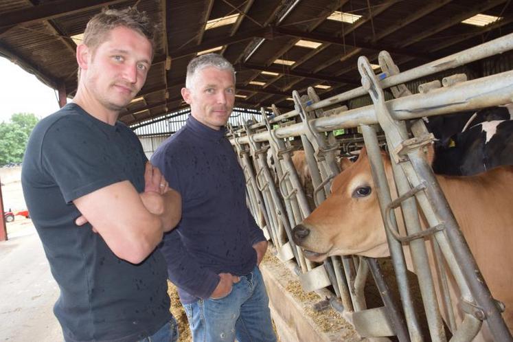 Vincent et Grégory Caron modifient la composition de leur troupeau pour mieux valoriser le lait et la production fourragère pour réduire les charges.
