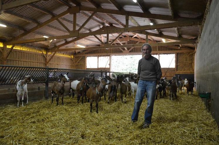Dans la chèvrerie de Gilbert Guespin, la charpente est plus légère que pour un toit traditionnel. Sur une largeur de 13 m, elle supporte la couverture sans poteau.