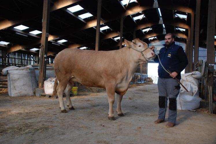 Gracekelly est dans l’attente d’un sacre national, mais elle est déjà la reine de l’élevage d’Olivier et de Jean-Claude Collardeau.