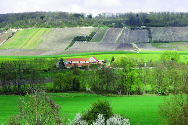 Le foncier rural en général, et agricole en particulier, continue de subir la pression de l’urbanisation des espaces, année après année.