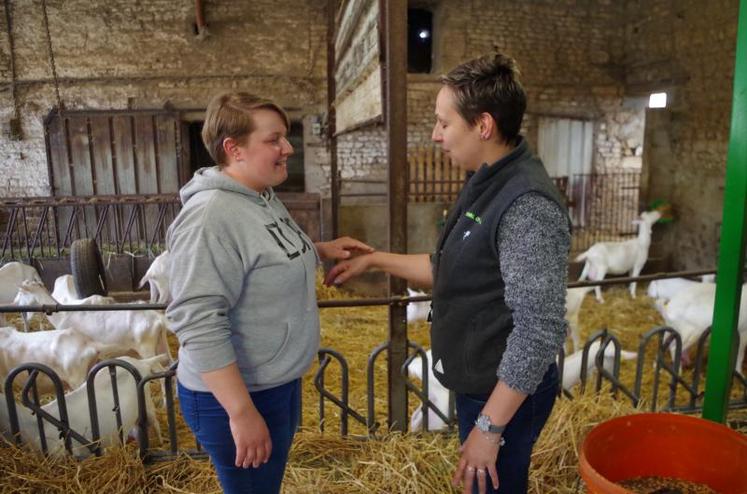 Initiation à la kinésiologie animale en mai 2018, à l’EARL Berneau, à Chauray : les éleveurs participants s’entraînaient au « test musculaire ».