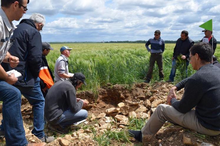 La présence de vers de terre dans le sol est essentielle pour assurer sa fertilité car ils fabriquent 
du complexe argilo-humique.