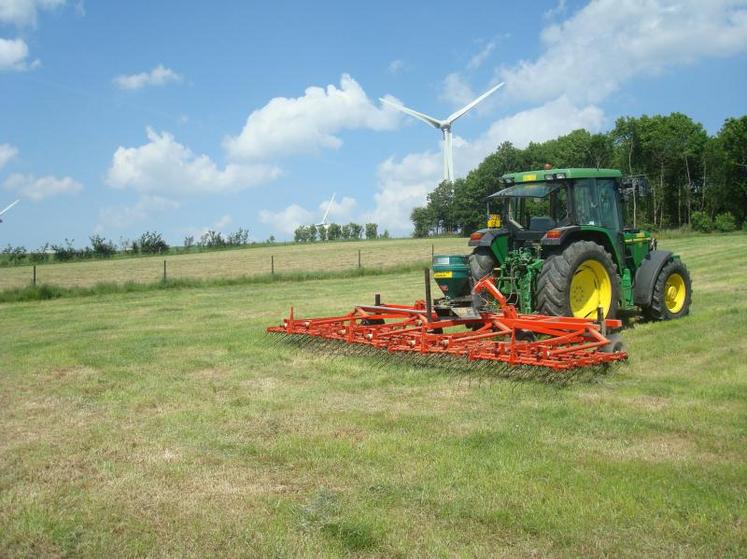 En cas d’absence de trèfle blanc, on peut envisager de le
sursemer ou de l’ajouter à la semence lors du semis de la prairie, mais il faut avoir analysé les causes de son absence au préalable.