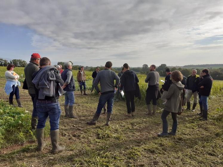 Les rendez-vous organisés chaque mois permettent une bonne émulation entre participants. « Les pionniers servent de références pour que les autres agriculteurs évitent de refaire des erreurs », explique Éric Guilbot, directeur de la coopérative de St-Agnant..