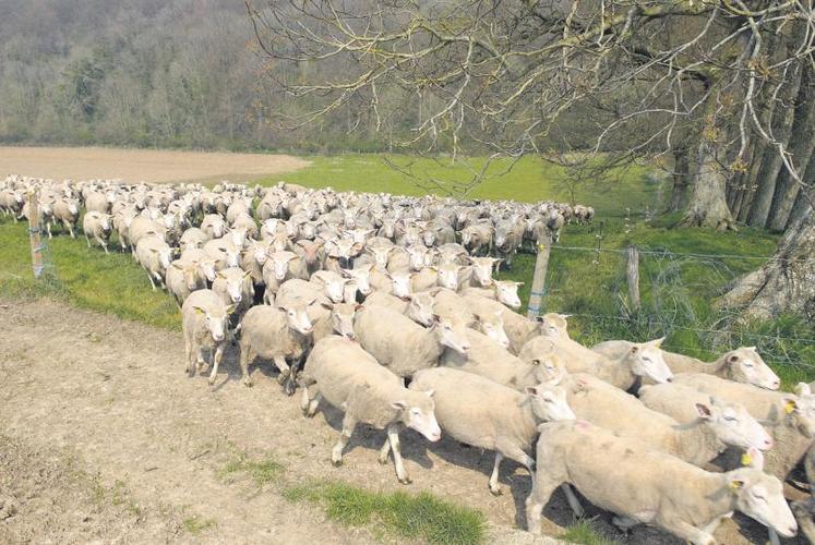 Des solutions adaptées à chaque situation sont souhaitées par le ministre de l’Agriculture.