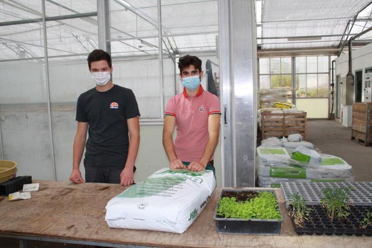 Ethan et Jules, deux lycéens, ont réalisé des démonstrations de repiquage avec beaucoup de pédagogie.