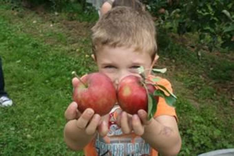 La SCEA Tastet dispose d'une "boutique à la ferme".