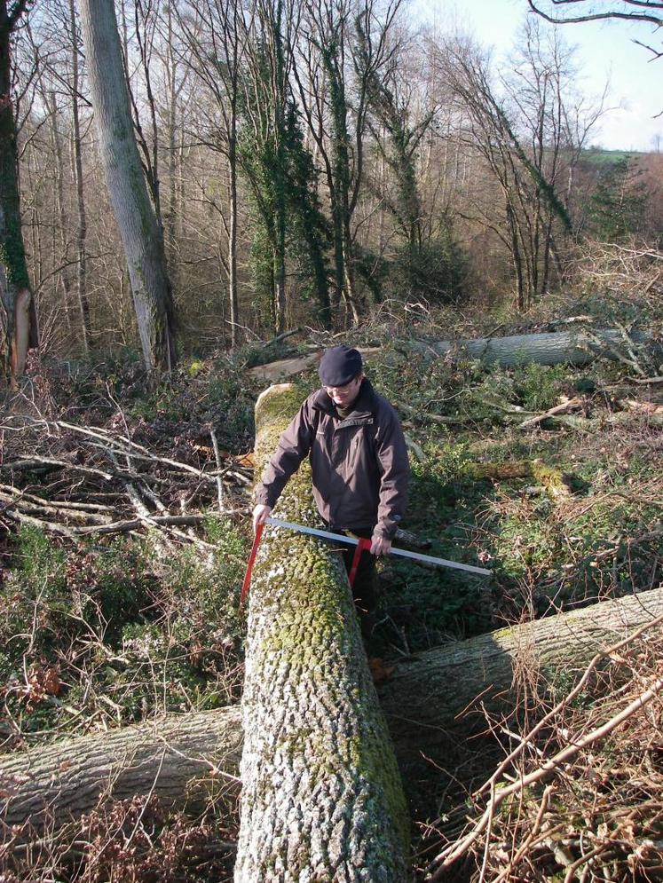 Evaluer la quantité de bois à vendre est une étape essentielle.