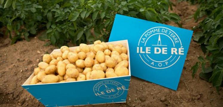 1888 t de pommes de terre primeur produites en 2016.