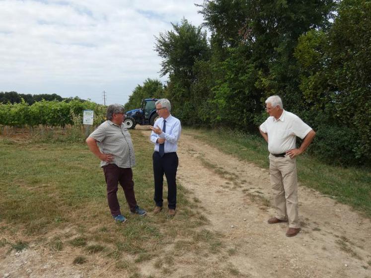 À Saintes, le directeur général de l’enseignement et de la recherche Philippe Vinçon a visité l’exploitation du lycée Desclaude, en compagnie notamment du directeur de celle-ci Christian Himonnet et du président de l’EPLEFPA de Saintonge Michel Amblard, avant un temps d’échange avec les élus, enseignants, professionnels, stagiaires et apprentis.