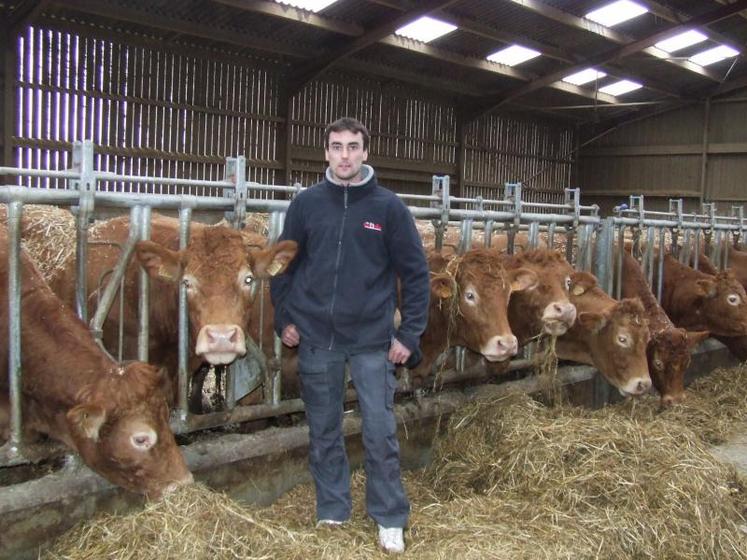 Insémination, transplantation et sélection aidant, le troupeau de limousines inscrites s’est agrandi pour compter aujourd’hui 110 vêlages.