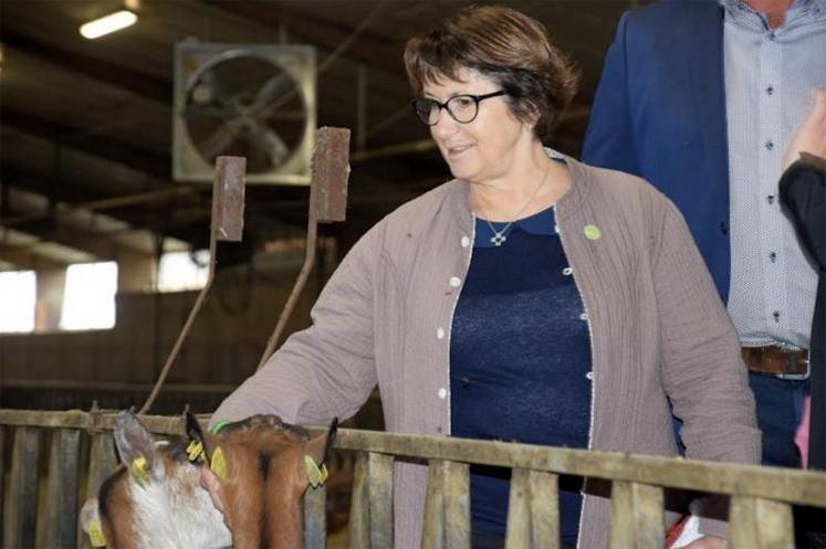 Christiane Lambert s'est rendue le 21 septembre au Gaec du Petit Chauveux, pour visiter une ferme typique du département avant le congrès de la FNSEA.