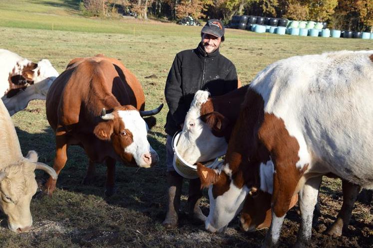 Guillaume Terrière élève des veaux sous la mère depuis son installation, en mars 2016.