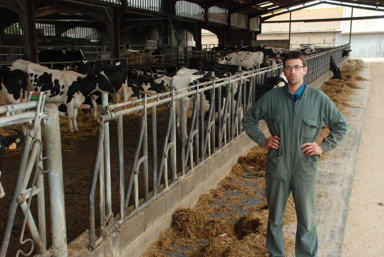 Le méteil répond tant d’un point de vue agronomique que zootechnique aux attentes de Thomas Bodin et de ses associés.