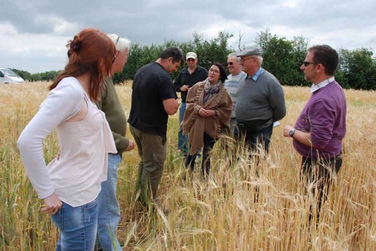 A l’initiative de la Fnsea 79, la commission d’enquête s’est réunie mardi 17 juin pour effectuer un tour de terrain et constater les dégâts occasionnés par la grêle dans la nuit du 9 juin. A l’issue de l’après-midi, une première cartographie a été établie, en concertation avec la DDT, afin de déterminer les solutions envisageables.