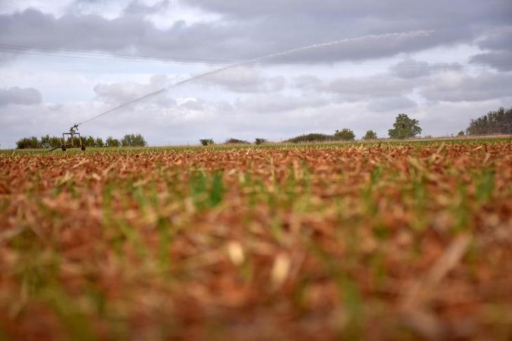 La sécurisation de l’eau d’irrigation sera l’objet des débats menés ce vendredi 21 septembre à la préfecture des Deux-Sèvres.