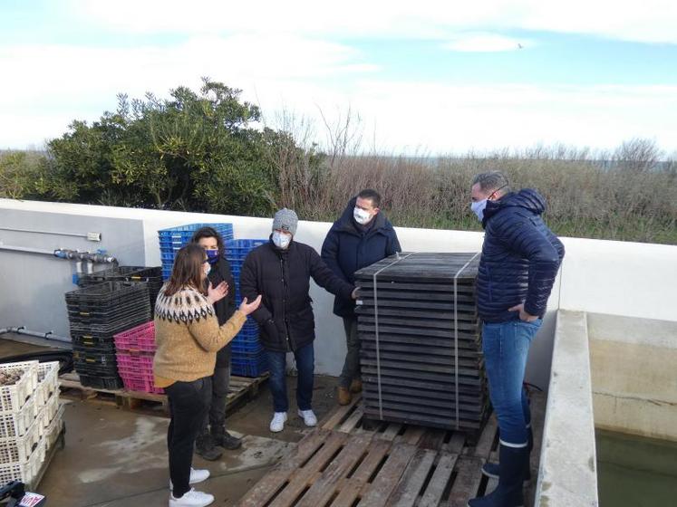 De gauche à droite, Stéphie Quarré, Fanny Fougerat, Christopher Coutanceau, Nicolas Brossard et Sébastien Henry, près des deux palettes de bois qui vont être affinées au contact des embruns sur l’île de Ré.