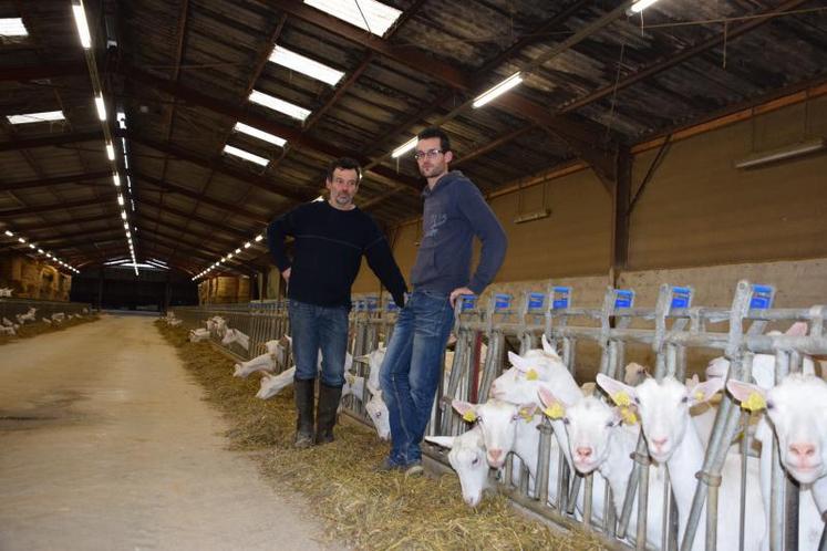 Grégoire et son père Thierry ont eu quatre mois pour finir le bâtiment de 1 500 m2 qui accueille les 450 chèvres, des travaux qu’ils ont pour la plupart réalisés eux-mêmes.