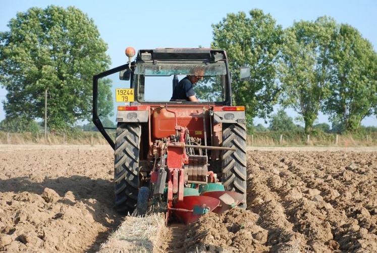 Le concours de labours a débuté vers 17 heures.