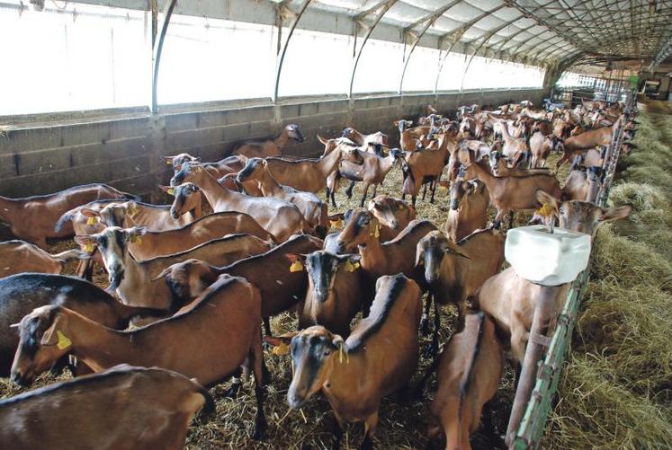 Les difficultés perdurent en 2013. La collecte a baissé de 12% sur les 4 premiers mois.