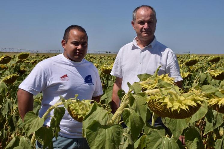 Shayna Darak, le président des Jeunes Agriculteurs des Deux-Sèvres (à gauche) et Jean-Marc Renaudeau, le président de la chambre d'agriculture départementale, souhaitent profiter de la Fête de la terre pour expliquer au plus grand nombre les pratiques agricoles en vigueur.