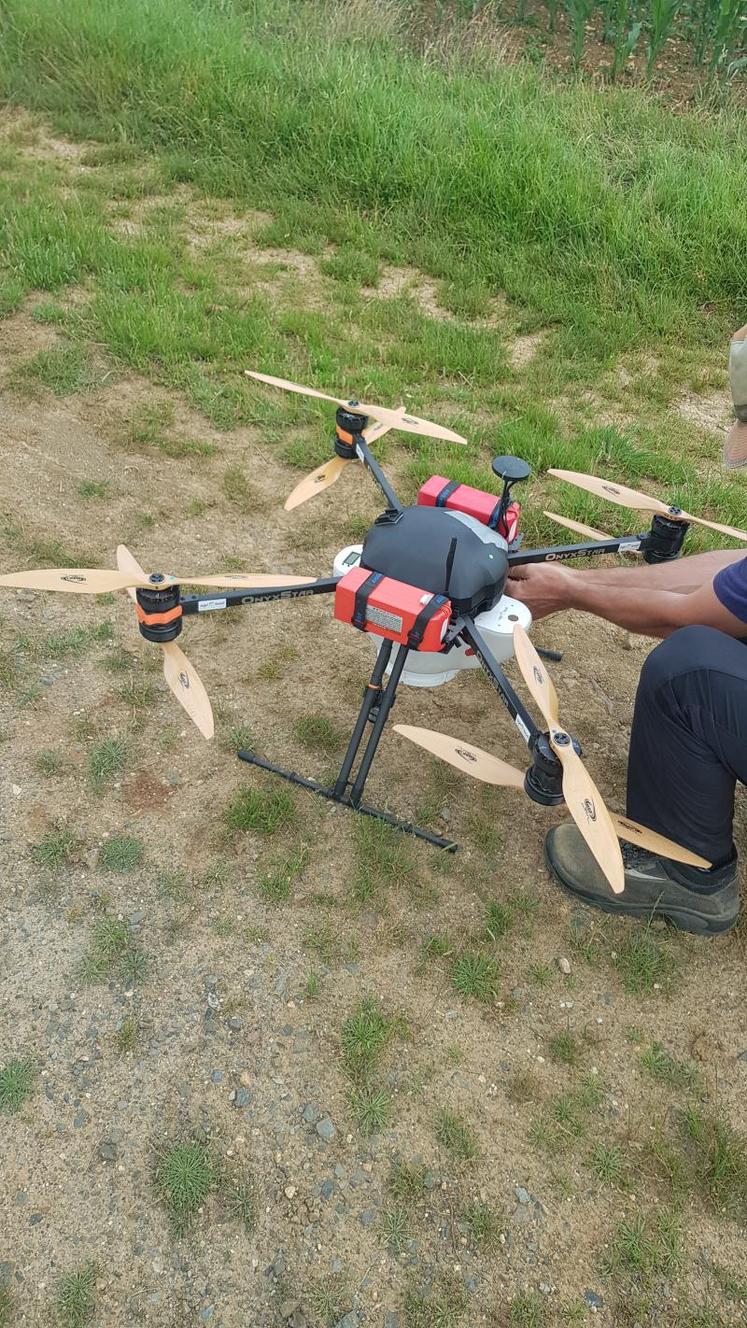 L’utilisation du drone permet d’éviter un passage de tracteur alors que les maïs sont assez développés.