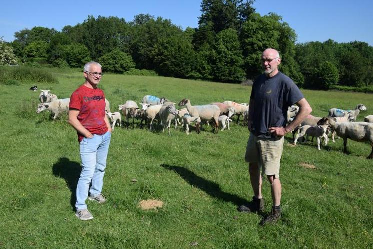 Martial Pouzet (à gauche) et le service économique de la Chambre d'agriculture accompagnent Pascal Laurent dans sa transmission d'exploitation.