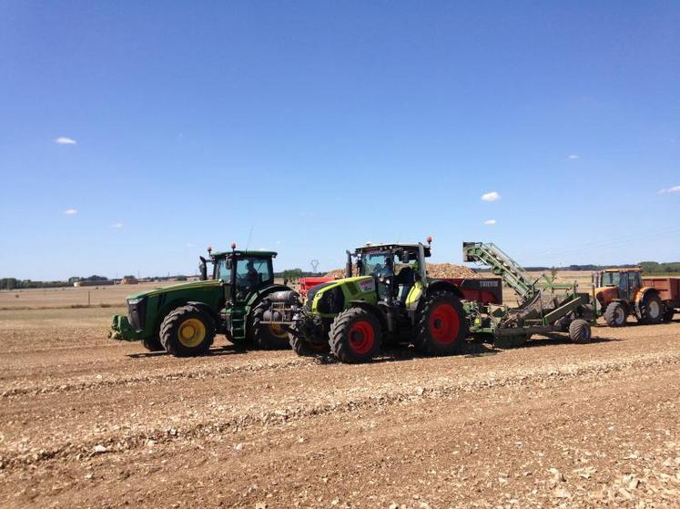 Sébastien Berger ramasse jusqu'à 250 tonnes de cailloux par hectare