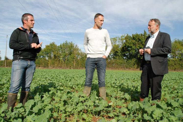Ludovic Bouteiller, exploitant à Lusseray, Cédric Clochard, technicien aux Ets Lamy et François Gibon, directeur du NACA, échangent autour des plantes campagnes.