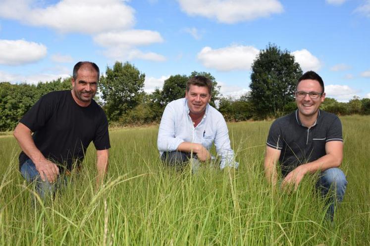 Emmanuel Guignard de la SCEA Férolles, Philippe Lapierre d’Emergence agro et Alexis Deligné de Pasquier VGT’AL, à Trayes, sur la parcelle test d’Eragrostis tef d’Emmanuel, mi-septembre 2019.