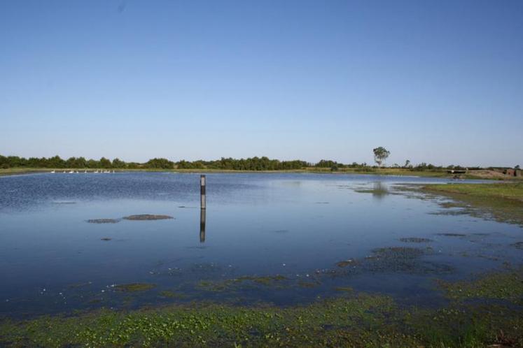 Les niveaux d’eau enregistrés au moment de la fermeture des ouvrages à la mer permettent d’évaluer les volumes nécessaires pour le remplissage des mares en période  estivale